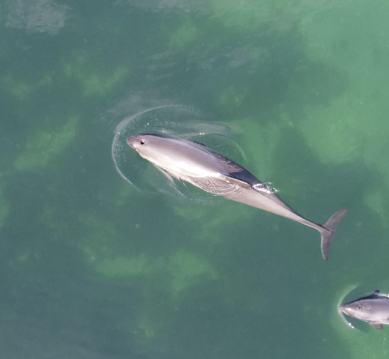 © Thünen Institute/Th.Noack